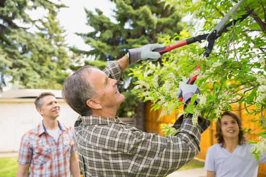 Multi-generation family pruning tree branches in backyard