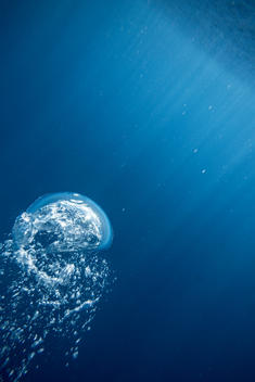 Underwater view of scuba divers oxygen bubble rising to ocean surface