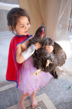 Girl (4-5) holding chicken