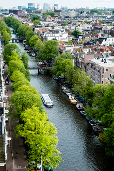 The view looking down from Westerkerk church at the canals of Amsterdam.