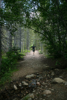 A man walking away from the camera on a trail in the woods.