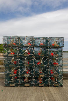 Lobster Traps on wharf