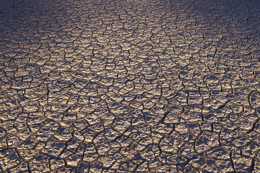 Dry cracked desert surface, Black Rock Desert in Nevada, USA
