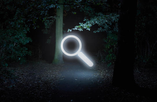Forest at night, with illuminated search symbol