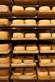 Cheese In Cheese Cellar