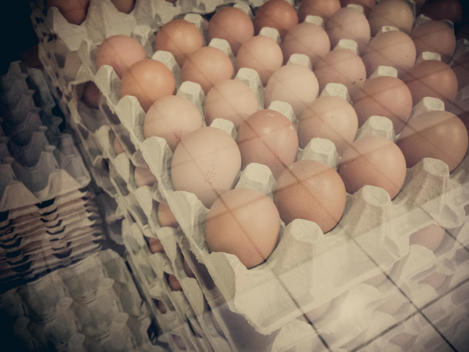 Eggs, egg packaging, egg