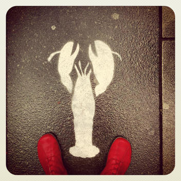 Austria, Vienna, lobster graffiti on the floor, red boots