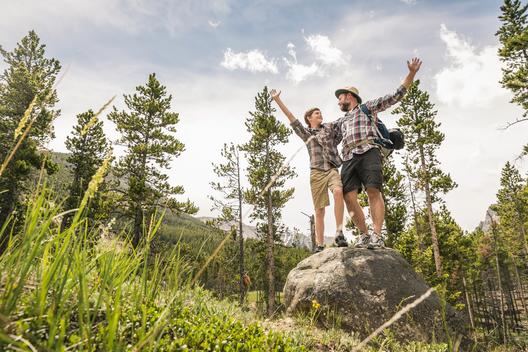 Low angle view of father and son in forest standing on rock arms raised in triumph, Red Lodge, Montana, USA
