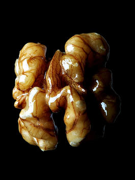 A shiny walnut shot against a black background