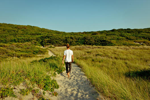 man walking through dunes down sand path