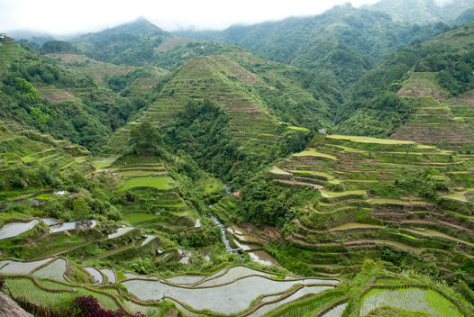 View over the rice terraces of Banaue, an Unesco world heritage site in the Philippine Cordilleras mountain region, on a cloudy day.