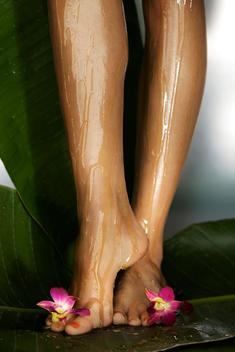 naked legs and feet covered in honey standing on a large green leaf