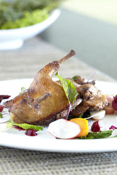Roasted Chicken With Beets And Radishes On White Plate.