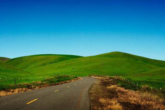 Rural road through rolling green hills