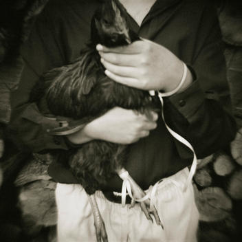 Female farmer holding hen