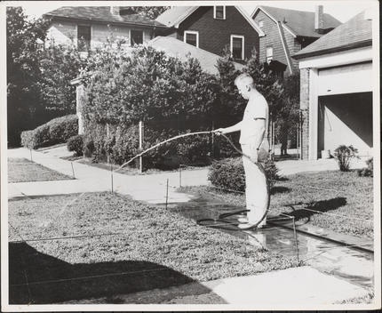 View Of A Man Watering The Lawn In A Suburban Area, Possibly Brooklyn Or Queens.