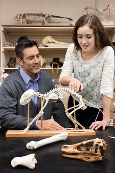Teacher and student working in natural history museum