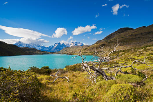 South America, Chile, Patagonia, View of cuernos del paine with river rio paine