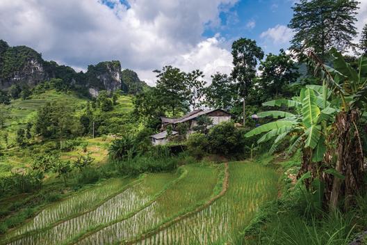 A wooden house sits within the green ricefield terraces in the valleys in between. On the road to Cao Bang, Vietnam