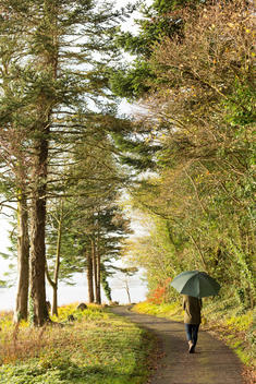 woman with umbrella walking through picturesque landscape image of path leading away from camera with trees and lake next to it in ireland.
