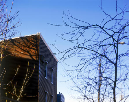 Morning light on house along the BQE with selective focus tree branches.