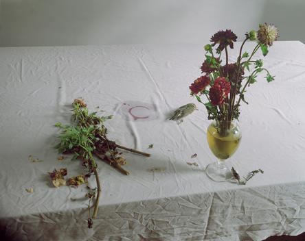 The Dog And The Wolf Series; Rumpled White Tablecloth With Bouquet Lying On Table Parallel To Vase Of Flowers, Dead Bird
