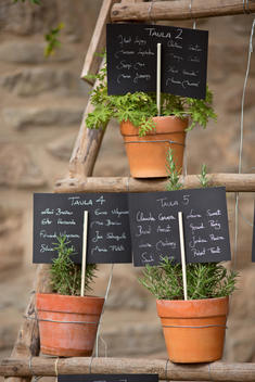 Plant Pots with Herbs and Signs with Text