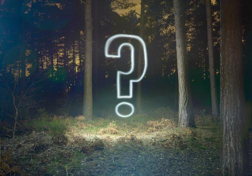Glowing question mark symbol in forest at night
