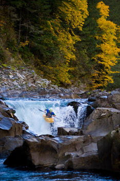 Kayaker running Shipherd Falls on the Wind River