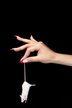 Hand with colorful nails holding a live mouse
