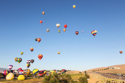 A cluster of hot air balloons
