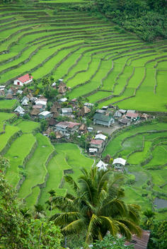 a village in the batad rice terraces (Unesco world heritage site)