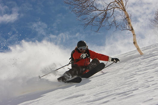 India, Kashmir, Gulmarg, Man skiing downhill