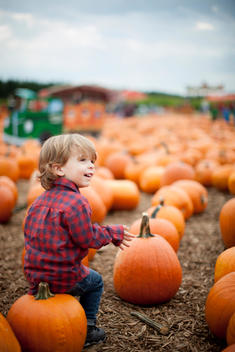 A picture of a little boy smiling while sitting on a pumpkin at a pumpkin patch