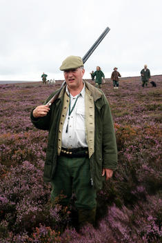 On a wet summer\'s day a hunter stands in the purple heather on the North Yorkshire Moors during a grouse shoot on the Glorious Twelfth in Hutton-le-Hole. The Glorious Twelfth is usually used to refer to August 12, the start of the shooting season for Red 