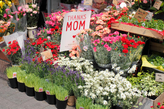 Mother\'s Day flowers in Japan