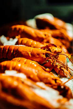Fresh lobsters for sale in the Chelsea Market.