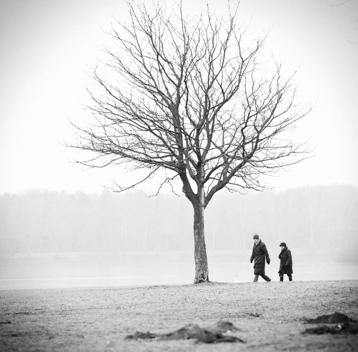 Elderly couple wearing winter clothing walking past a bare tree