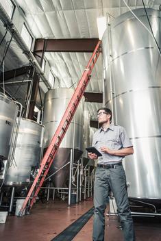 Low angle view of young man in brewery holding digital tablet looking away