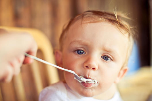 lifestyle , baby being fed with a spoon