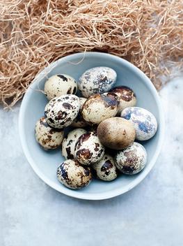 Still life of fresh quails eggs in bowl