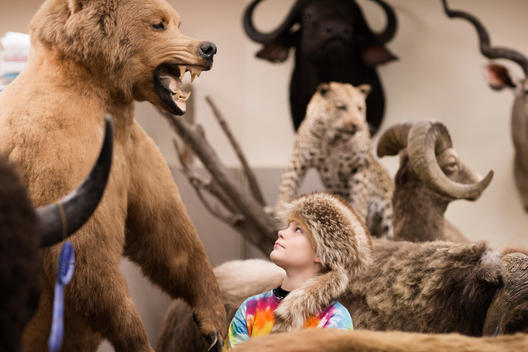 Boy wearing fur hat in natural history museum