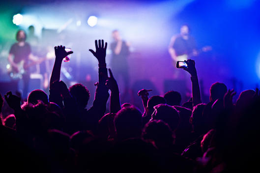 Someone Taking Pictures With A Phone In The Crowd At A Rock Concert.