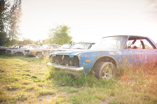 Photo of junk yard race cars in tall grass