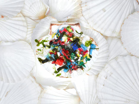 Seafood - plastic waste in the oceans