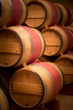 red wine casks stored in cellar