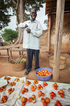man selling tomatoes from his farm