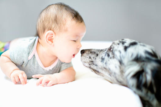 Baby girl face to face with pet dog