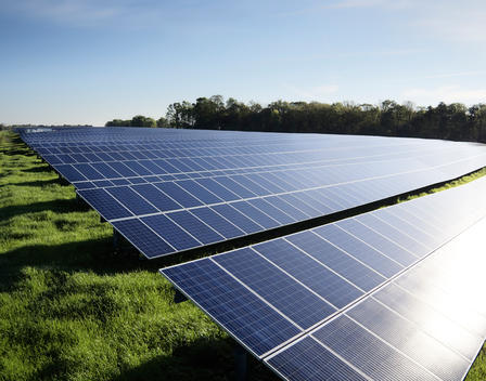 Photograph of solar panels on a North Carolina solar farm..