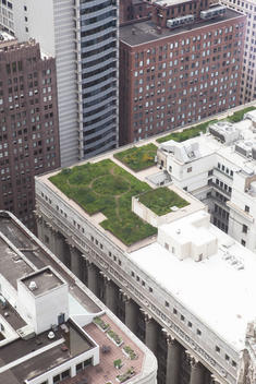 Rooftop Garden At City Hall